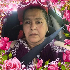 Meet your Posher, Rosa